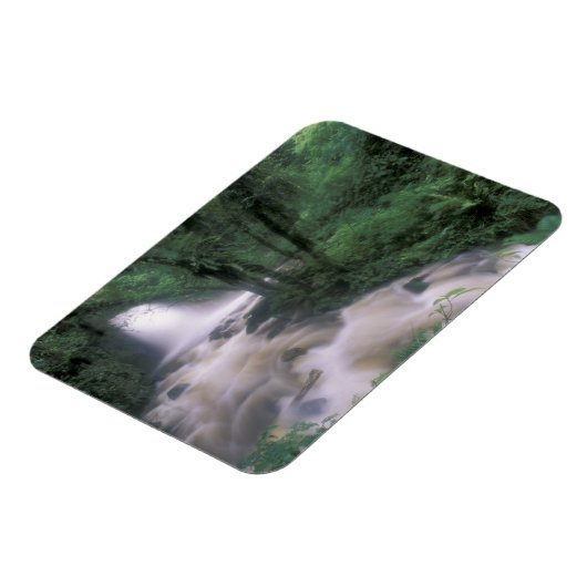 SA, Peru, S.H. Machu Picchu, Cascade en cloud Magneet (Linkerzijde)