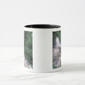 SA, Peru, S.H. Machu Picchu, Cascade en cloud Mok (Midden)