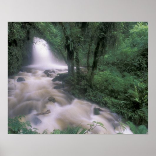 SA, Peru, S.H. Machu Picchu, Cascade en cloud Poster (Voorkant)