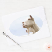 Saanen-geit Ovale Sticker (Envelop)