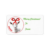 Saanen Goat kerstcadeau Label Sticker (Voorkant)