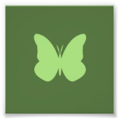 saap vlinder foto afdruk (Voorkant)