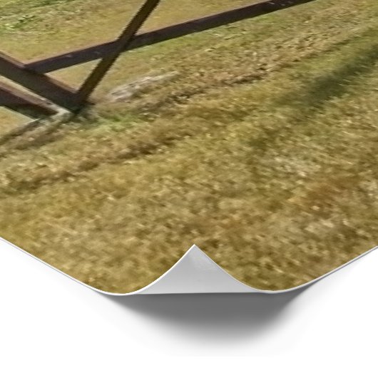 Saaremaa, eiland Estland, Poster (Hoek)