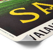 SAAS FEE POSTER (Hoek)