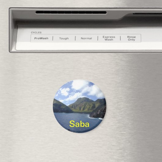 Saba magneet (Insitu (Vaatwasser))