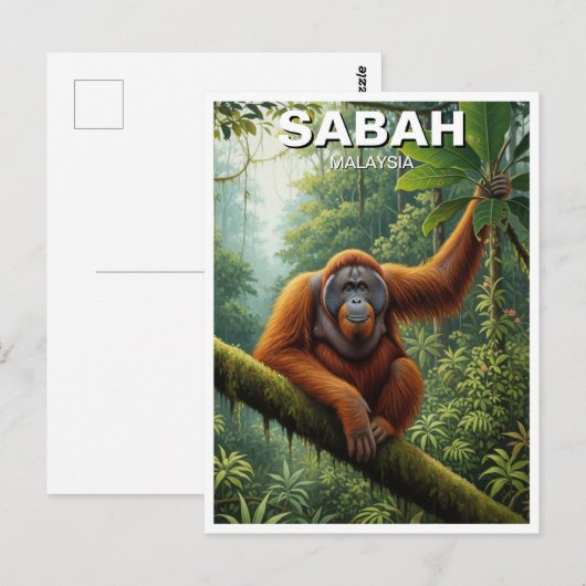 Sabah Malaysia Orangutan Travel Briefkaart (Voorkant / Achterkant)