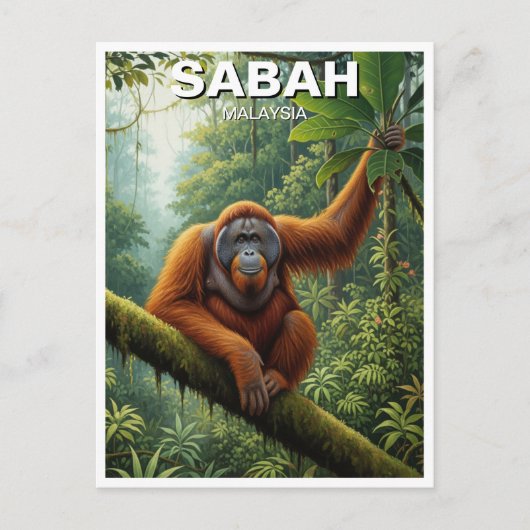 Sabah Malaysia Orangutan Travel Briefkaart (Voorkant)