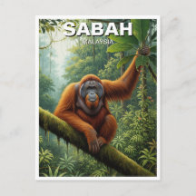 Sabah Maleisië Orang-oetan Reizen