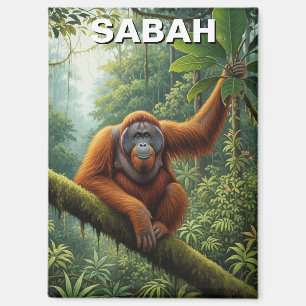 Sabah Maleisië Orang-oetan Reizen Magneet