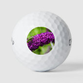 sabelsprinkhaan energie golfballen (Voorkant)