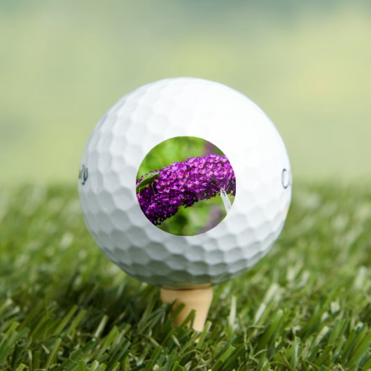sabelsprinkhaan energie golfballen (Insitu Shirt)