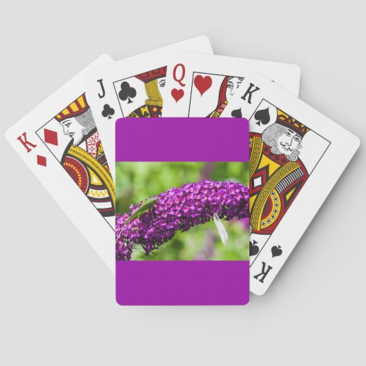 sabelsprinkhaan energie pokerkaarten (Achterkant)