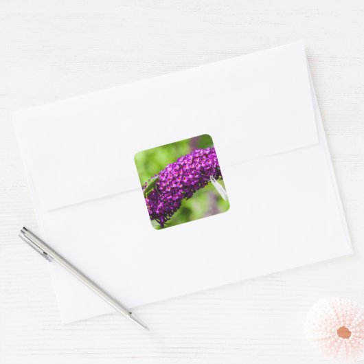 sabelsprinkhaan energie vierkante sticker (Envelop)