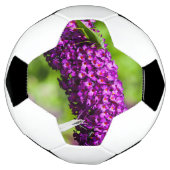 sabelsprinkhaan energie voetbal (Gedraaid)