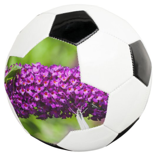 sabelsprinkhaan energie voetbal (Drie kwart)