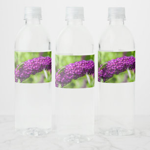 sabelsprinkhaan energie waterfles etiket