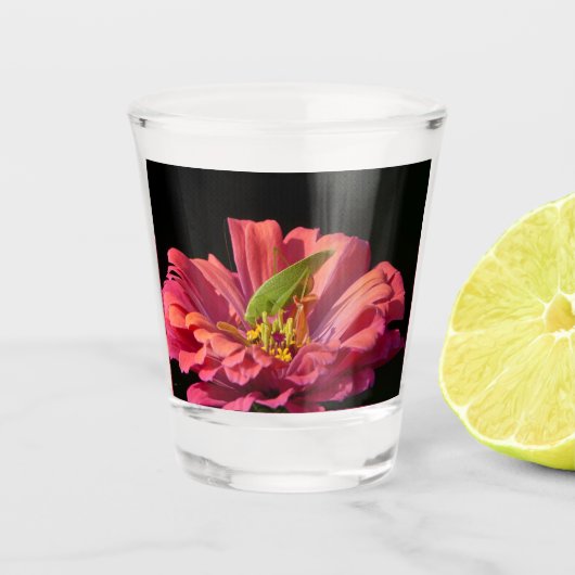 Sabelsprinkhaan op Zinnia Shot Glas (Voorkant)