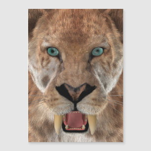 Sabeltandtijger of Smilodon