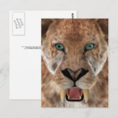 Sabeltandtijger of Smilodon Briefkaart (Voorkant / Achterkant)