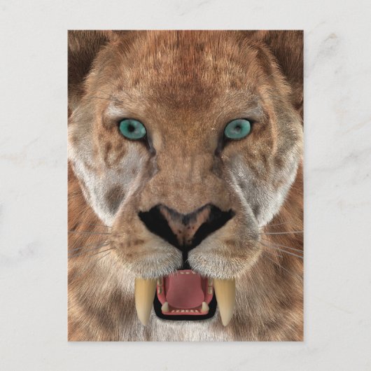 Sabeltandtijger of Smilodon Briefkaart (Voorkant)