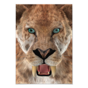 Sabeltandtijger of Smilodon Foto Afdruk