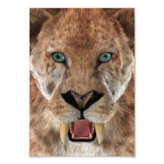 Sabeltandtijger of Smilodon Foto Afdruk (Voorkant)