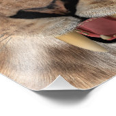 Sabeltandtijger of Smilodon Foto Afdruk (Hoek)