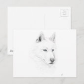 Saber A Siberian Husky Drawing Art Blue Eyes Briefkaart (Voorkant / Achterkant)