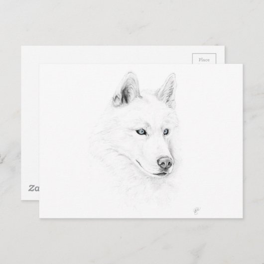 Saber A Siberian Husky Drawing Art Blue Eyes Briefkaart (Voorkant / Achterkant)
