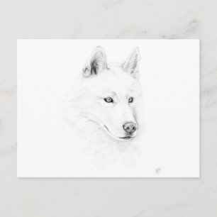 Saber A Siberian Husky Drawing Art Blue Eyes Briefkaart