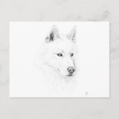Saber A Siberian Husky Drawing Art Blue Eyes Briefkaart (Voorkant)