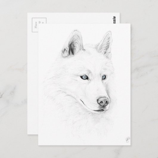 Saber A Siberian Husky Drawing Art Blue Eyes Briefkaart (Voorkant / Achterkant)