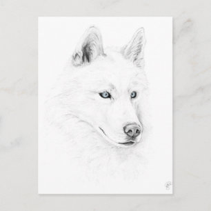Saber A Siberian Husky Drawing Art Blue Eyes Briefkaart