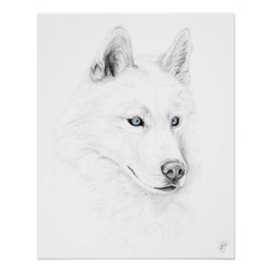 Saber A Siberian Husky Drawing Art Blue Eyes Perfect Poster