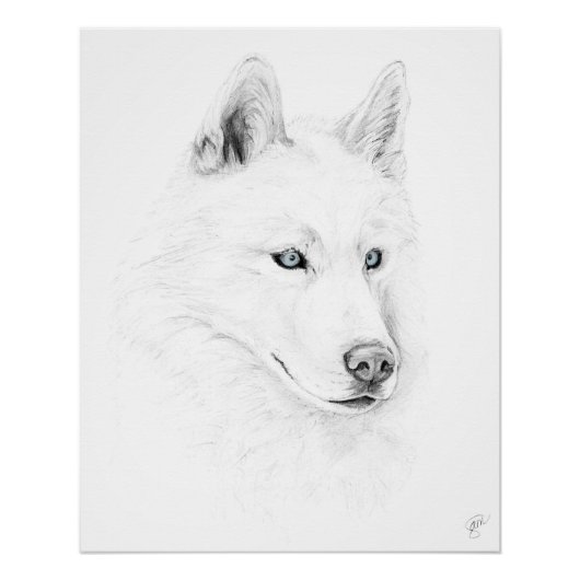 Saber A Siberian Husky Drawing Art Blue Eyes Perfect Poster (Voorkant)
