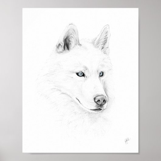 Saber A Siberian Husky Drawing Art Blue Eyes Poster (Voorkant)