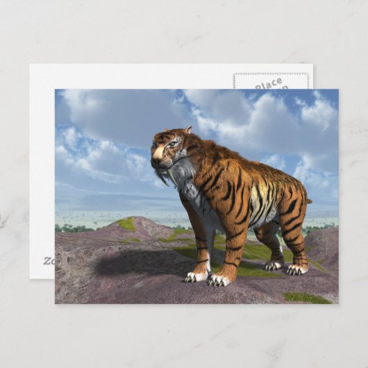 Saber Tooth Tiger Briefkaart (Voorkant / Achterkant)