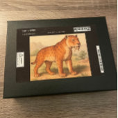 Saber-Tooth Tiger Natuurlijke geschiedenis Puzzel Legpuzzel