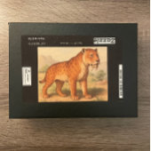 Saber-Tooth Tiger Natuurlijke geschiedenis Puzzel Legpuzzel