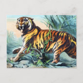 Saber Toothed Tiger Briefkaart (Voorkant)