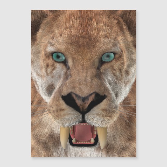 Saber Toothed Ttiger of Smilodon (Voorkant)