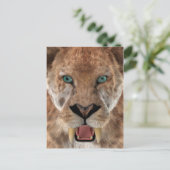 Saber Toothed Ttiger of Smilodon Briefkaart (Staand voorkant)