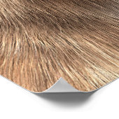 Saber Toothed Ttiger of Smilodon Poster (Hoek)