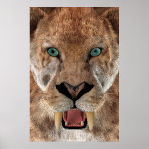 Saber Toothed Ttiger of Smilodon Poster