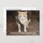 Sabertooth Bubba Briefkaart (Voorkant / Achterkant)