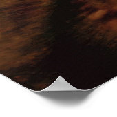 Sabertooth-tijger Poster (Hoek)