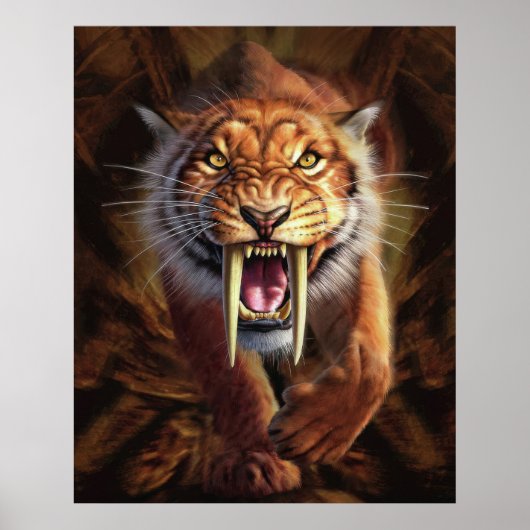 Sabertooth-tijger Poster (Voorkant)