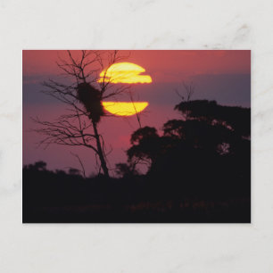 Sabi Rivier bij Zonsondergang, Kruger Nationaal Pa Briefkaart