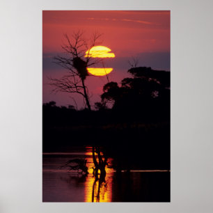 Sabi Rivier bij Zonsondergang, Kruger Nationaal Pa Poster