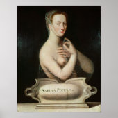 Sabina Poppaea, c.1570 Poster (Voorkant)